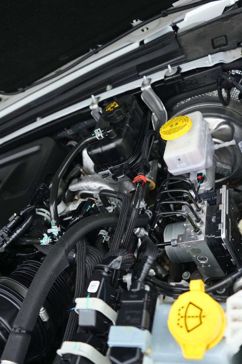 Load image into Gallery viewer, DDP Motors | 2025 Jeep Wrangler SAHARA White 1C4PJXEN5SW554272 | $37,249.00