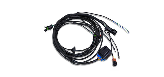 AEV Conversions | 2020+ GM Silverado / Sierra Auxiliary Light Harness For AEV Rear Bumper