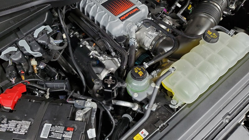 Load image into Gallery viewer, J&L 23-25 Ford F-150 Raptor R Oil Separator 3.0 Passenger Side - Black Anodized