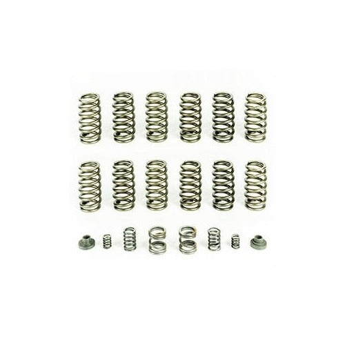 Load image into Gallery viewer, PacBrake 1994-1998 Dodge Ram 5.9L 12V Cummins Spring Kit 12 HD Valve Springs HP10245