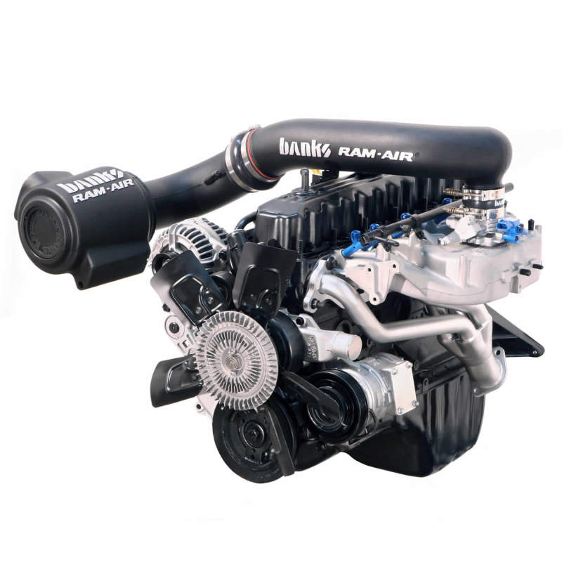 Load image into Gallery viewer, Banks Power | 1997-2006 Jeep 4.0L Wrangler Ram-Air Intake System - Dry Filter