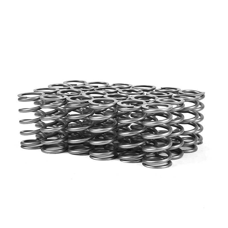 Load image into Gallery viewer, XDP | 1998.5-2024 Dodge Ram 5.9L / 6.7L Cummins Heavy Duty High Boost Valve Spring Set