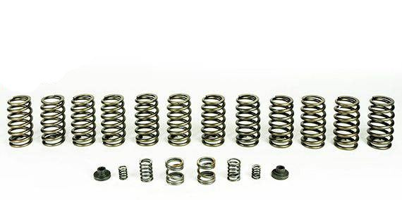 Load image into Gallery viewer, PacBrake | 1994-1998 Dodge Ram 5.9L 12V Cummins Spring Kit 12 HD Valve Springs