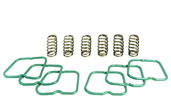 Load image into Gallery viewer, PacBrake | Basic Spring Kit 6 Springs For 94-98 Dodge Cummins 12 Valve Engine