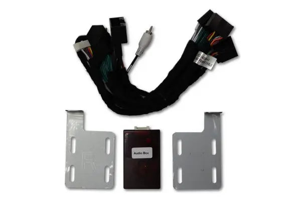 Load image into Gallery viewer, Linkswell | 2015-2020 Ford F150 / 2017-2019 Super Duty Bang &amp; Olufsen Adapter
