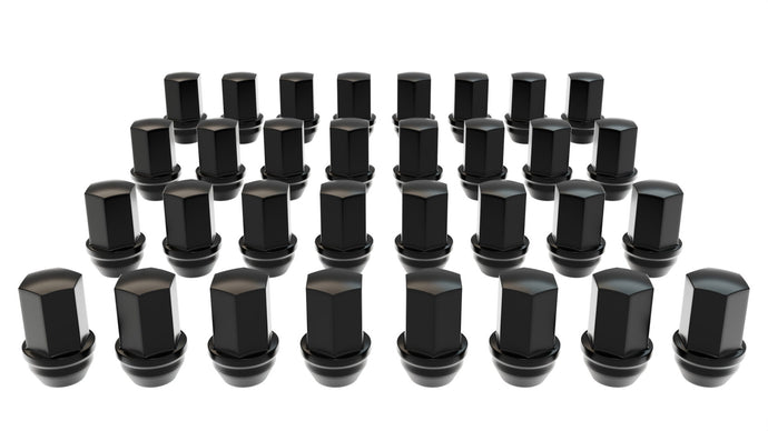 AEV Conversions | 32 Pack Black Lug Nut Kit