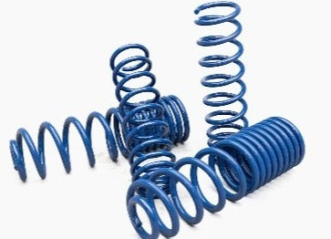 AEV Conversions | 2019+ Jeep Gladiator JT 3 Inch High Capacity Coil Springs - Gas Engine