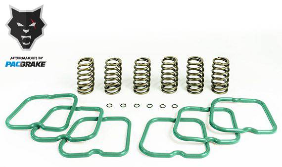 PacBrake | Basic Spring Kit 6 Springs For 94-98 Dodge Cummins 12 Valve Engine