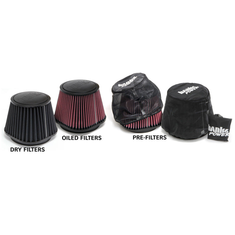 Load image into Gallery viewer, Banks Power | 2010-2012 Dodge Ram 6.7L Cummins Ram-Air Intake System - Dry Filter

