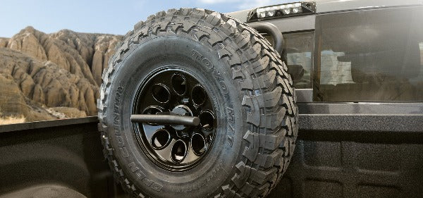 Load image into Gallery viewer, AEV Conversions | Vertical Tire Mount
